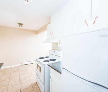 Alexander Apartments - Photo 6