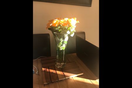 3 Bed Semi-Detached House, Bristol, BS9 - Photo 4