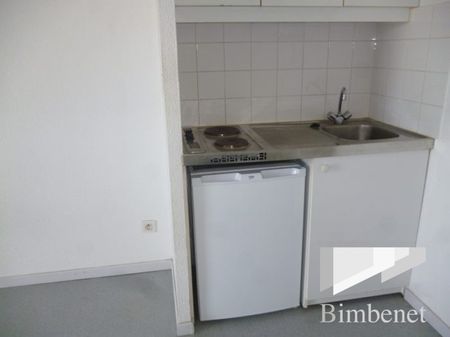 Appartement à louer, 1 pièce - Olivet 45160 - Photo 4