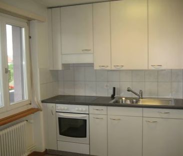 2.5 Zimmer, 49 m², EG - Foto 1