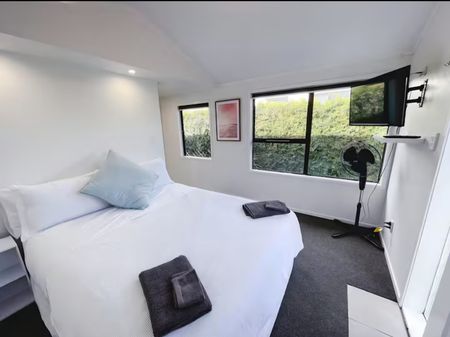 Fully Furnished on Maunganui - Mt Maunganui - Photo 5