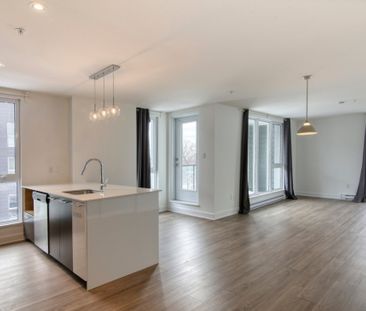 9675 Av. Papineau, app.9, H2B 3C8, H2B 3C8, Montréal - Photo 3
