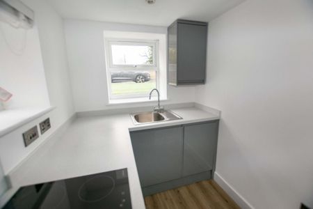 1 bedroom flat to rent - Photo 2