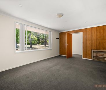 30 Spafford Crescent, Farrer ACT 2607 - House For Rent | Domain - Photo 1