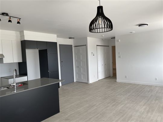 3½ (juillet) 908-205 rue Lamarche, Sherbrooke J1H 0M9 - Photo 1