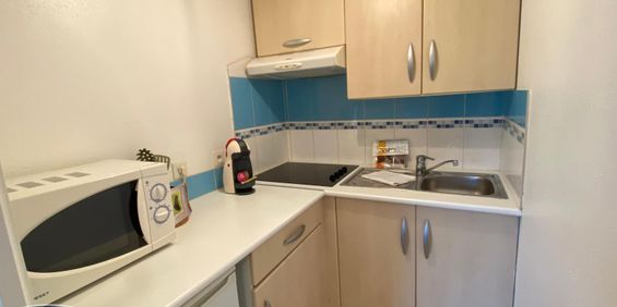 Location Appartement 1 pièce 20m² ST GERMAIN LES ARPAJON 91180 - Photo 3