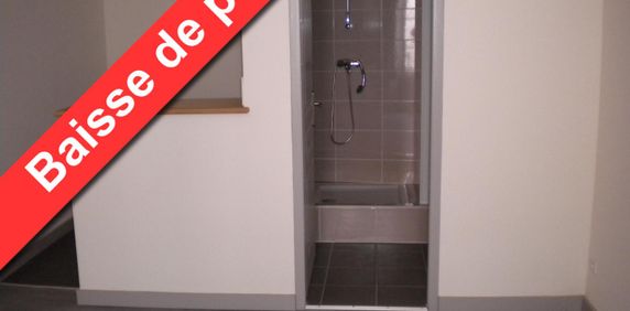 Location Appartement 1 pièce 25m² AUBENAS 07200 - Photo 2