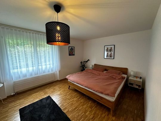 APPARTEMENT 41/2 PIÈCES À STÄFA (ZH), MEUBLÉ, TEMPORAIRE - Photo 1