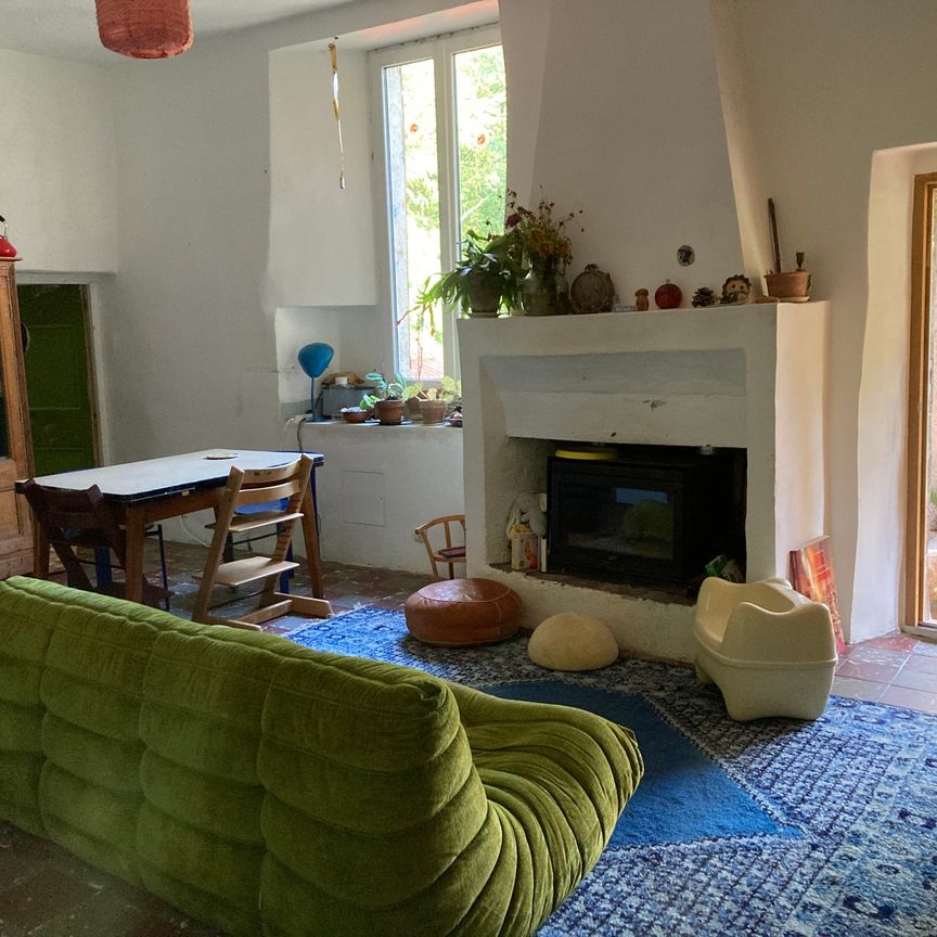 Mas ancien rénové, avec terrain autour, jardin ombragé à l’arrière, jardin avec mazet à l’avant - Photo 1