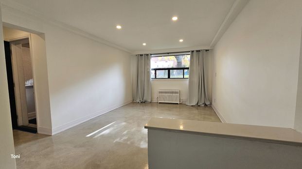 For Lease - 8 Carrington Avenue Unit# Lower, Toronto, Ontario - Photo 1