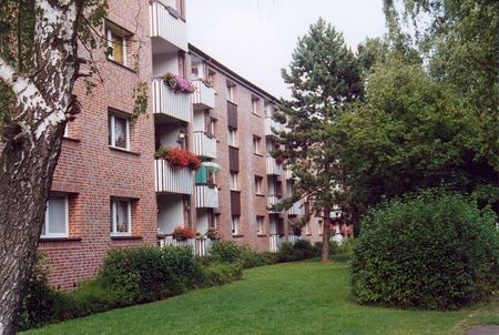 3-Zimmer-Wohnung in Detmold Knochenbach - Photo 3