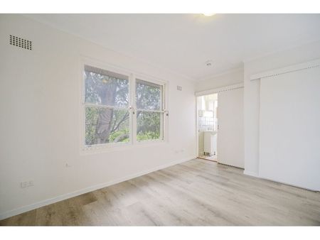 Freshly Renovated and Light Filled Studio in Prime Position - Photo 3