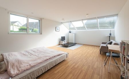 41/2-ROOM APARTMENT IN ANGLIKON (AG), FURNISHED, TEMPORARY - Photo 3