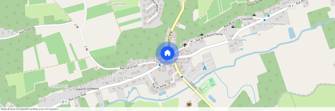 NAZELLES NEGRON (37530)