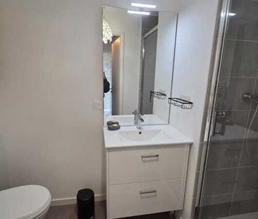 Location Appartement 1 pièce 20m² LA SOURCE 45100 - Photo 6