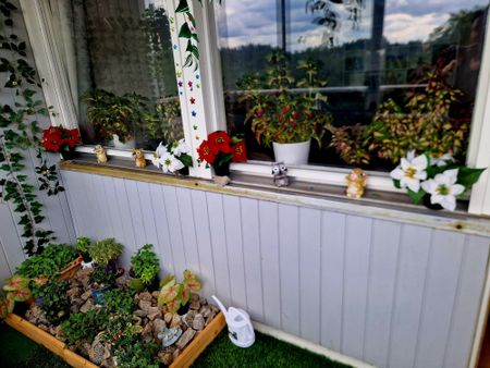 Lars Kaggsgatan, Borås - Foto 2