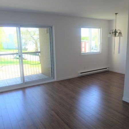 4 1/2 Chauffé/Éclairé, Décembre, Lévis secteur Desjardins, UQAR, CFP - Photo 3