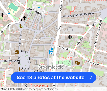 Rybnik ścisłe centrum, umeblowane M-3 od czerwca 2026 - Photo 1