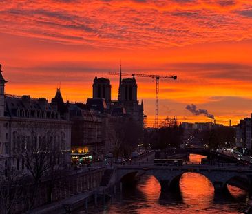 ** Pont Neuf ** Magnifique studio avec vue dégagée sur monuments ! - Photo 2