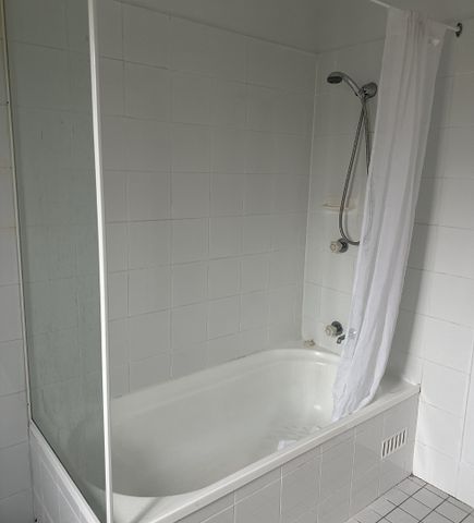 18 Harris Street, Cessnock NSW 2325 - House For Rent | Domain - Photo 3