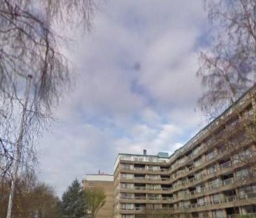 Cees Laseurlaan 0ong, 2597 Den Haag, Nederland - Photo 1