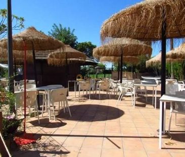 MAGNIFICENT APARTMENT WITH SEA VIEWS ON THE 2ND LINE OF THE BEACH I... - Photo 6