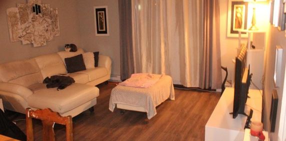 Appartement Boulevard Mauricien Disponible 1 Octobre 2025 - Photo 2