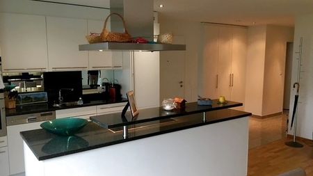 4½ Zimmer-Wohnung in Schindellegi (SZ), möbliert, auf Zeit - Photo 4