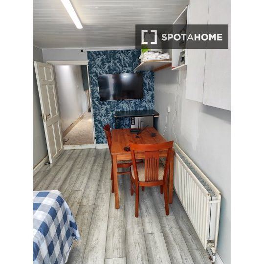 Studio for rent in Dublin - Photo 1