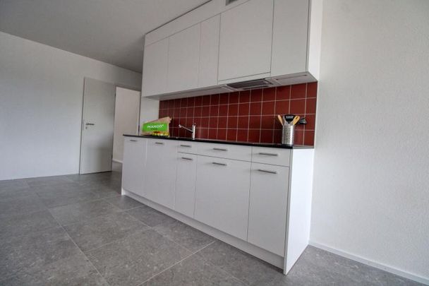 James #2 - Spacious Coliving Apartment in Crissier - Photo 1