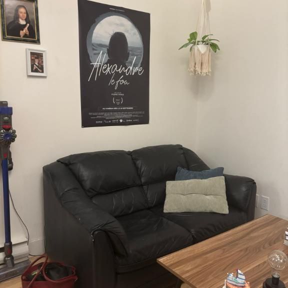 Disponible maintenant - 3 et demi - Rénové - Quartier St-Jean Baptiste - Photo 1