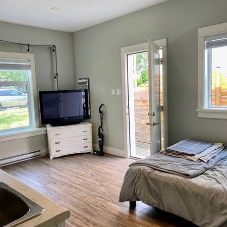 Bachelor Suite - Main Floor with High Ceilings - Oak Bay / Gonzales - Photo 4