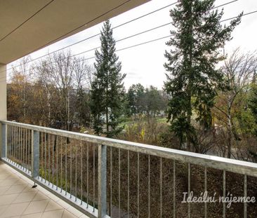 Pronájem bytuRenting an apartment 2+kk, 39 m2 - Photo 5