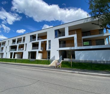 Sonnige Mietwohnung mit Garten und Terrasse beim Straßganger Bad - Foto 1