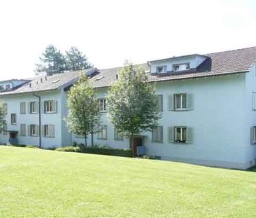 Zentral gelegene Wohnung an ruhiger Lage in Höngg - Foto 4