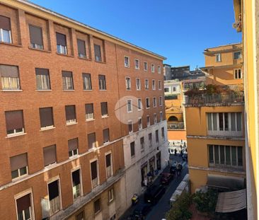 5 locali in affitto - Photo 6