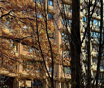 Coeur de Champel: 6 pièces en pignon – Traversant, lumineux et géné... - Foto 2