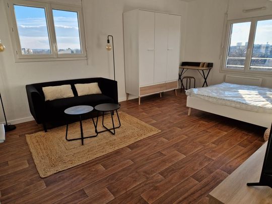 Location Appartement 1 pièce Meublé 28m² ANGERS 49100 - Photo 1