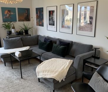 Carl Herslowsgatan, Malmö - Foto 2