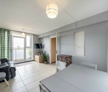 Amhurst Park - Photo 5