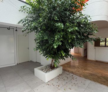 Location Maison 7 pièces 187m² CLERMONT FERRAND 63000 - Photo 6