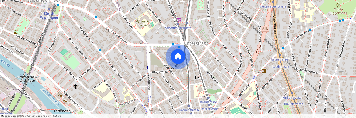 Pflugstrasse 19, 8006, Zürich