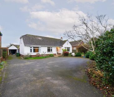 3 bedroom bungalow to rent - Photo 4