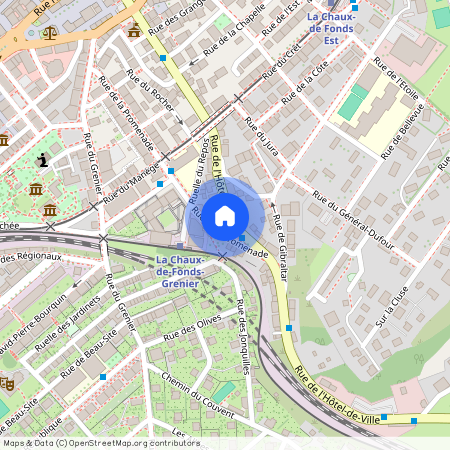 2300, La Chaux-de-Fonds, Rue de l'Hôtel-de-Ville, 42