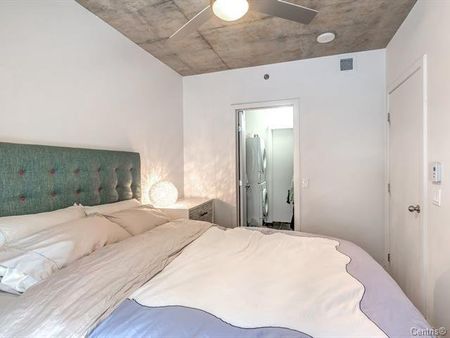 Rue Chomedey, H3H 0A2, Montréal - Photo 4