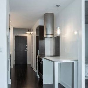 $2100 / 1br - 466ft2 - Modern 1BR Condo near Bathurst and Lakeshore - Photo 2