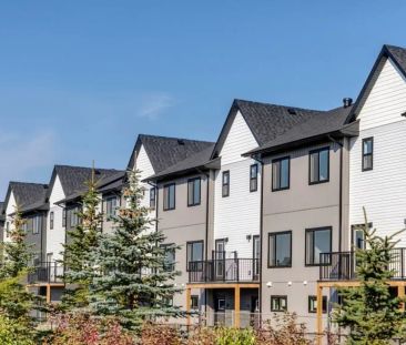 VUE at Creekwood — Birch 2 Bedroom 2 Bathroom - Photo 1