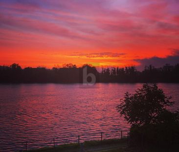 HELL UND MODERN, DIREKT AM RHEIN - Photo 3