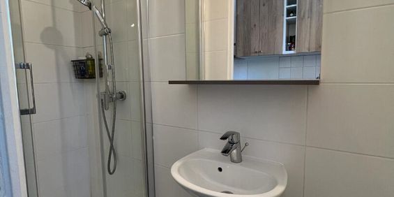 Location Appartement 1 pièce 19m² - Photo 3