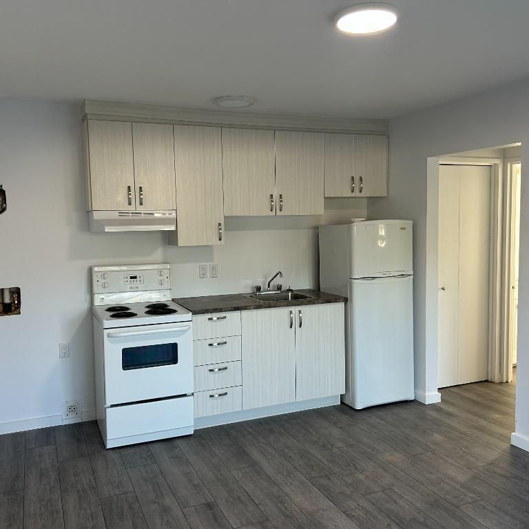 Beau 3 1/2 - Libre immédiatement - Air climatisé - Photo 1